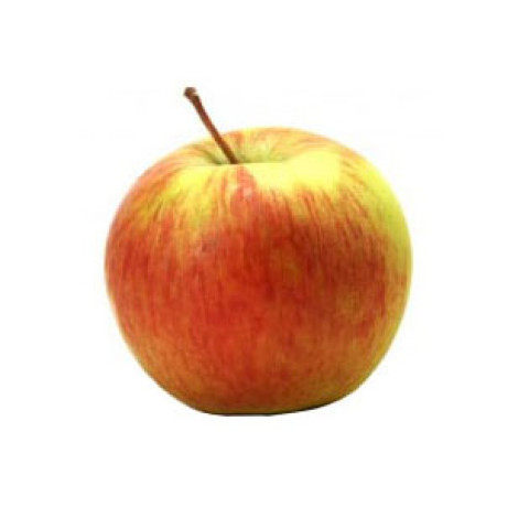 Organic Apple Seconds