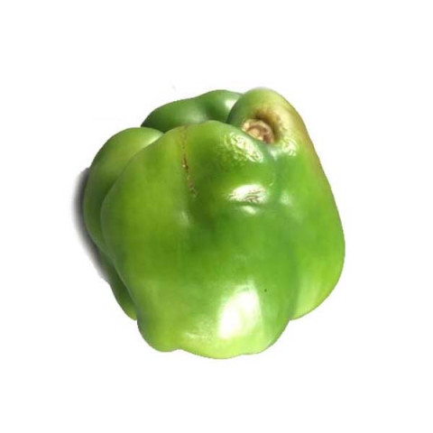 Green Capsicum 2nds - Organic