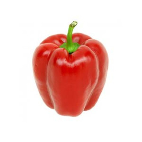 Red Capsicum, Small - Organic