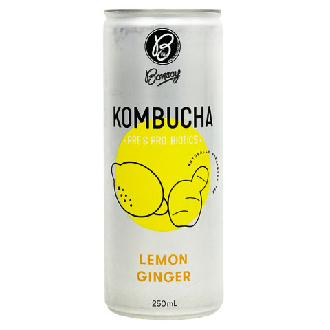 Bonsoy Lemon Ginger Kombucha