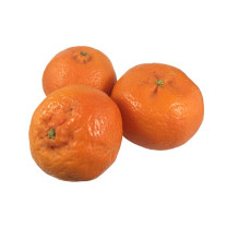 Daisy Mandarins - Organic, by the each