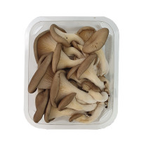 Oyster Yellow Mushrooms - Organic