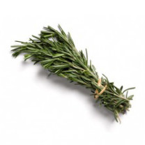 Rosemary - Clearance - Organic