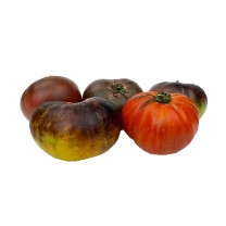 Heirloom Tomatoes - Organic